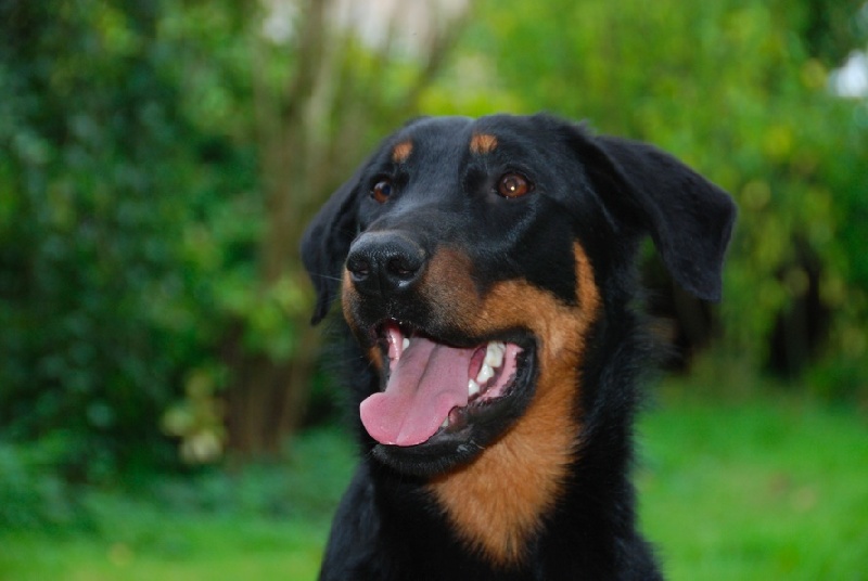 Fatine yiselle De La Bonhardiesse