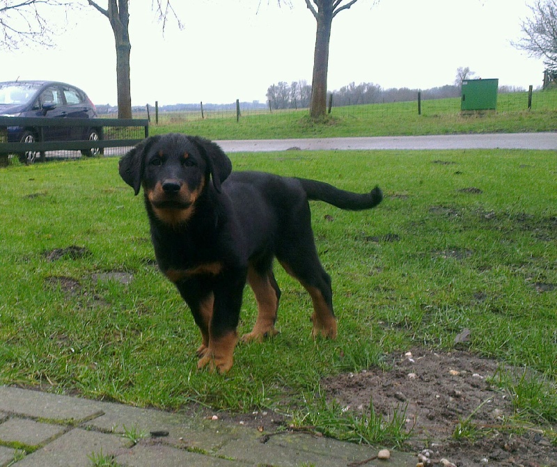 Hanae yanou De La Bonhardiesse