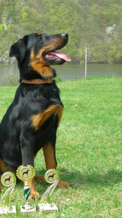 Havel yzar De La Bonhardiesse