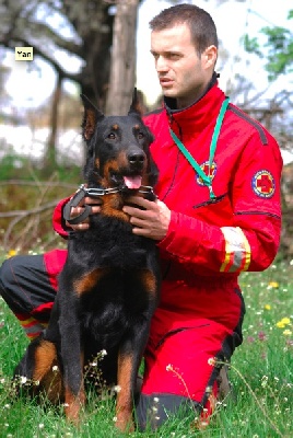 De La Bonhardiesse - Mariage prevue!