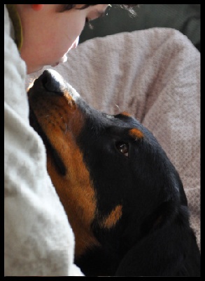 De La Bonhardiesse - L'amour entre enfant et chienne