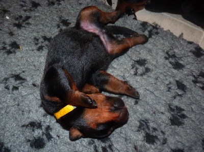 Les noms des bébés