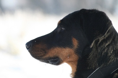 De La Bonhardiesse - Nouvelles de FAN UBAC