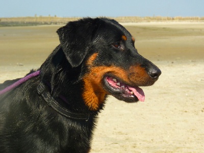 Nouveau titre pour Fan Ubac BOYD!