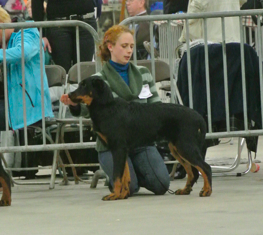 Nos résultats: Dogshow Goes